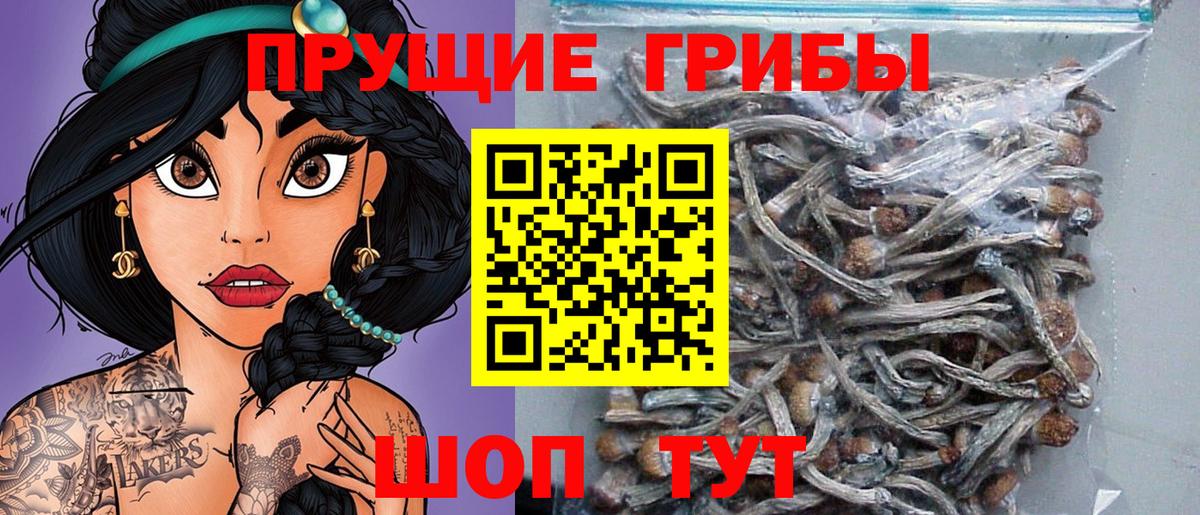 Псилоцибиновые грибы мухоморы Рубцовск